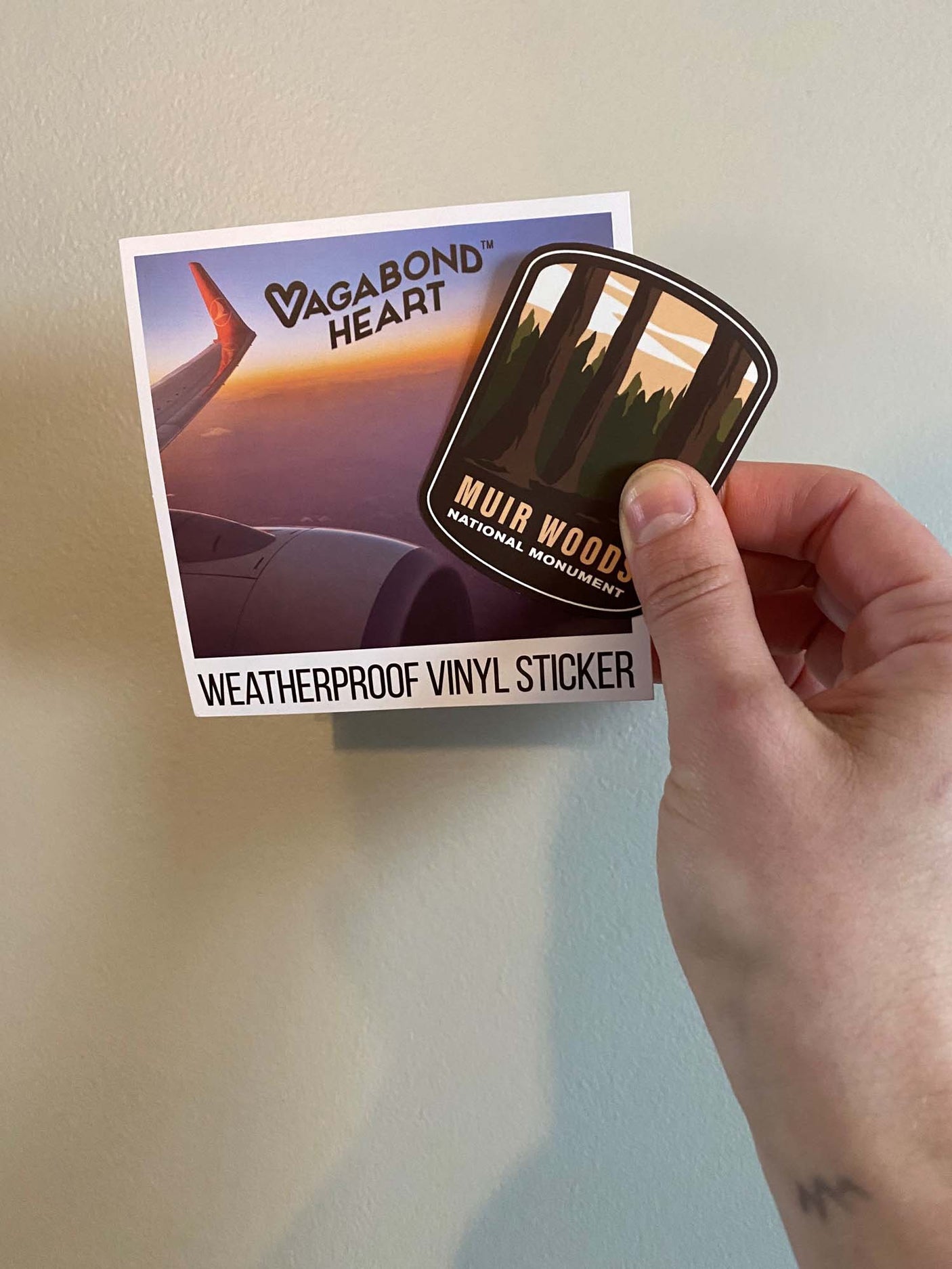 Muir Woods National Monument Vinyl Sticker