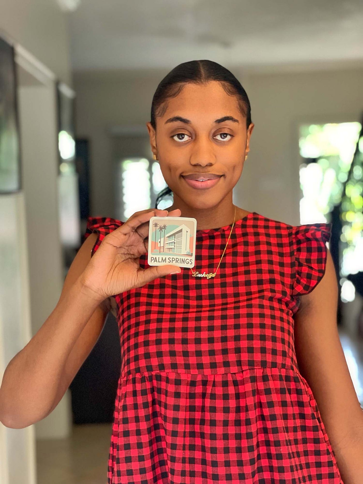 Palm Springs Sticker