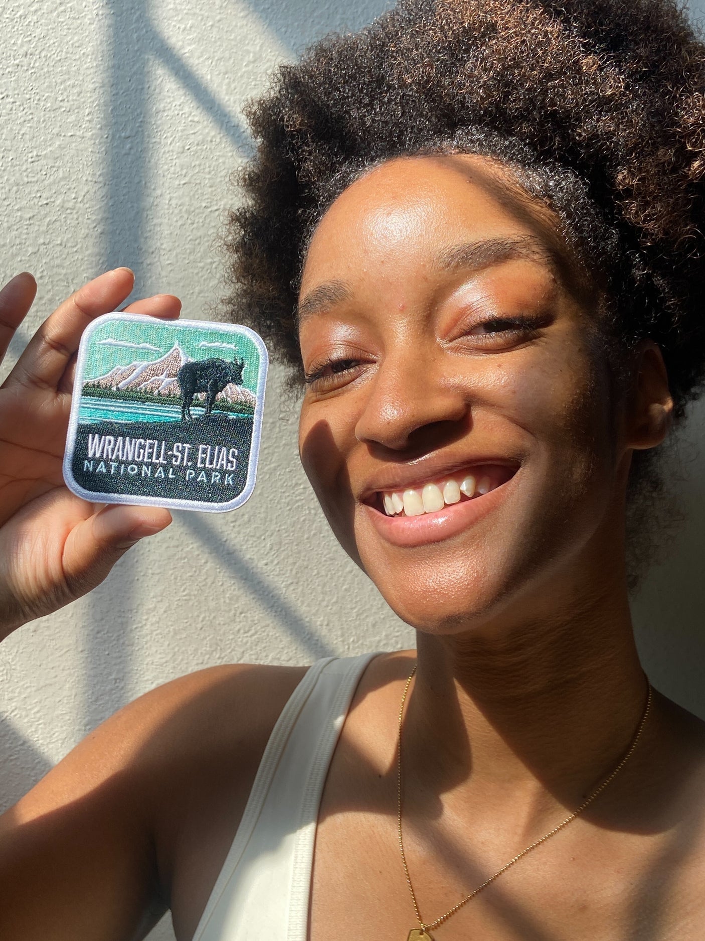 Wrangell - St. Elias National Park Patch