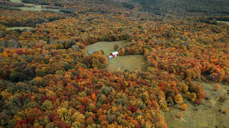 CATSKILLS CITY GUIDE - OCTOBER 2026