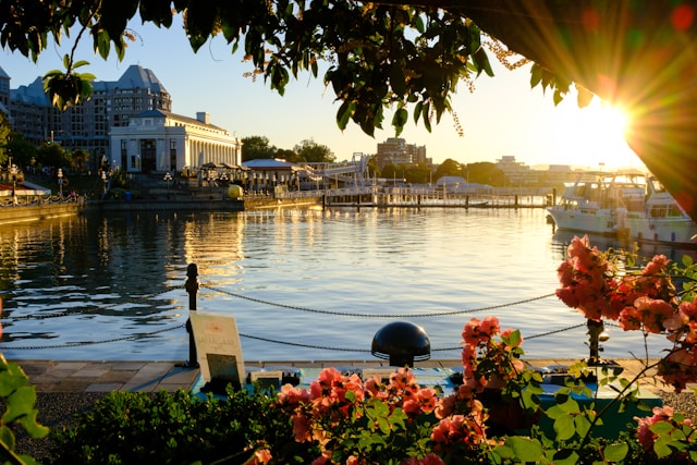 VANCOUVER ISLAND CITY GUIDE - JUNE 2026