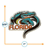 Florida Pin