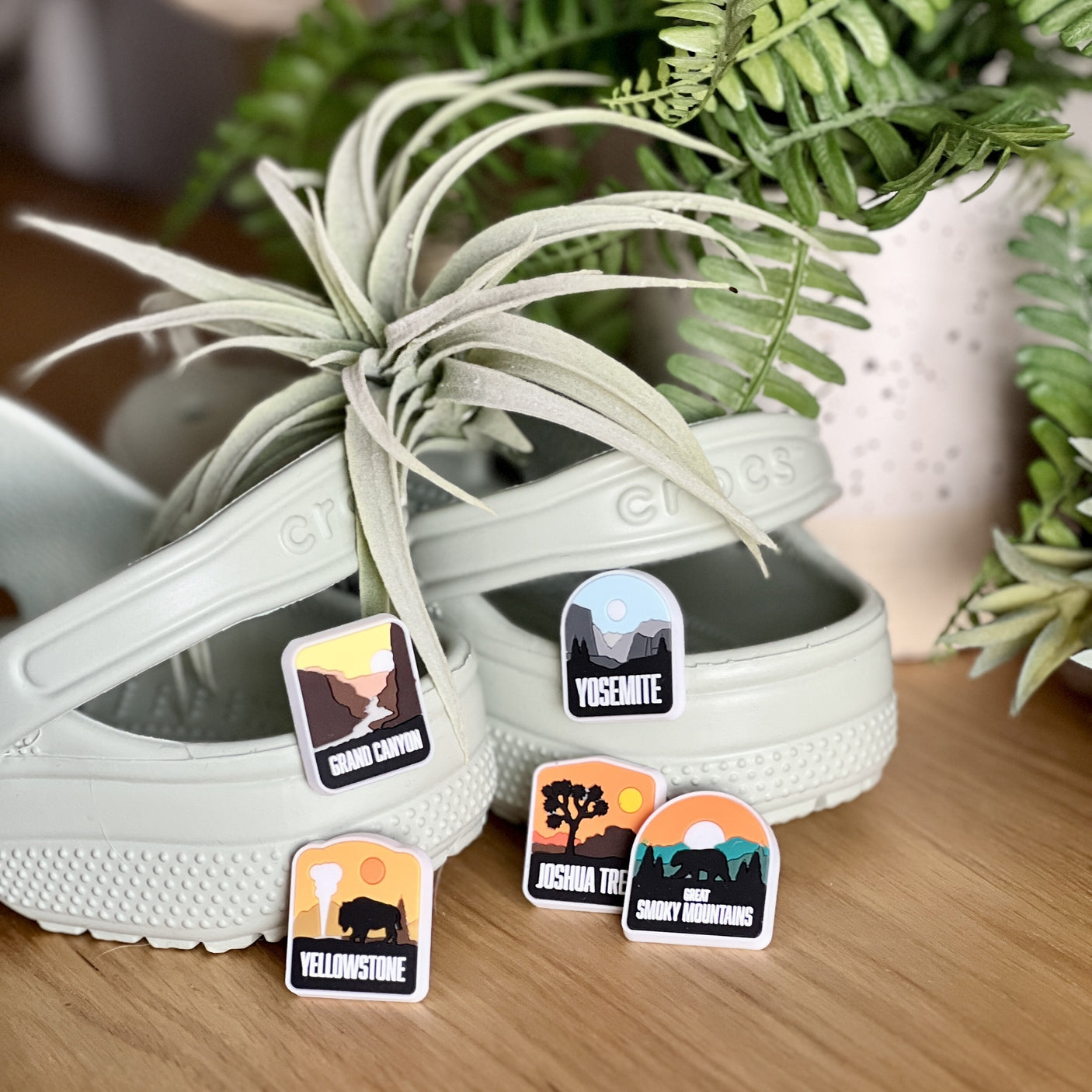 National Park Shoe Charms - 5 Pack