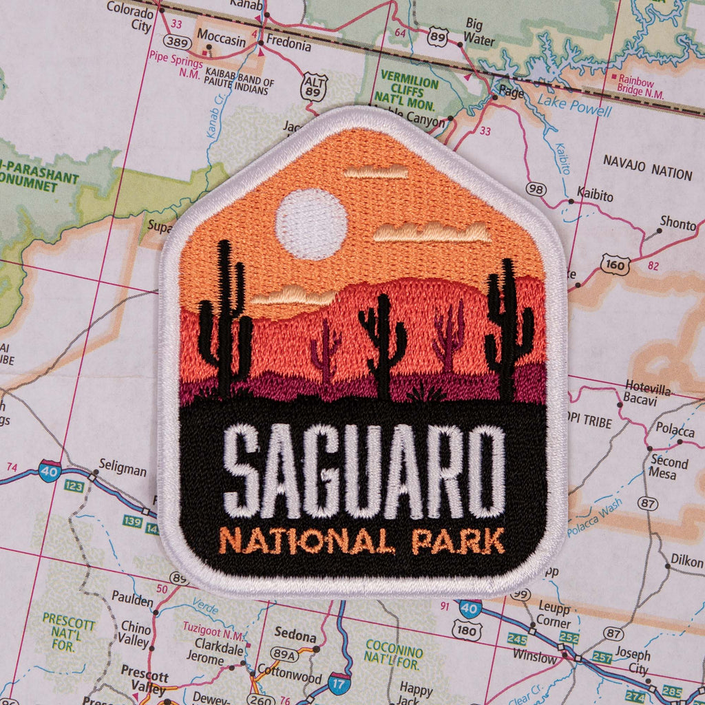 Saguaro patch on a map background