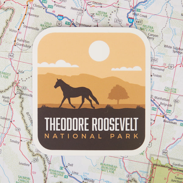 Theodore Roosevelt sticker on a map background